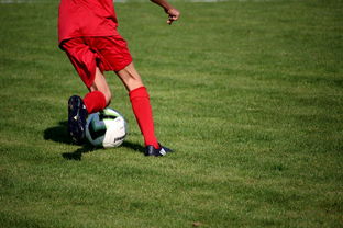 体育新闻中心发布体育短视频内容运营新策略，体育短视频存在的问题